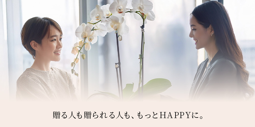 幸せをつなぐ、胡蝶蘭専門サイト「Flower Smith Gift(フラワースミスギフト)オープン！
